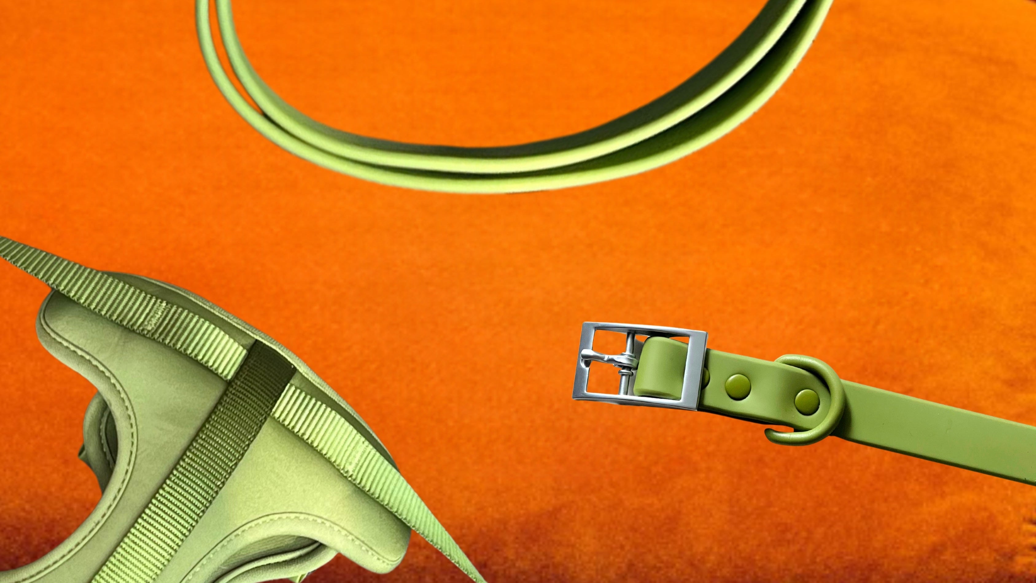 Green dog leash and collar on an orange background