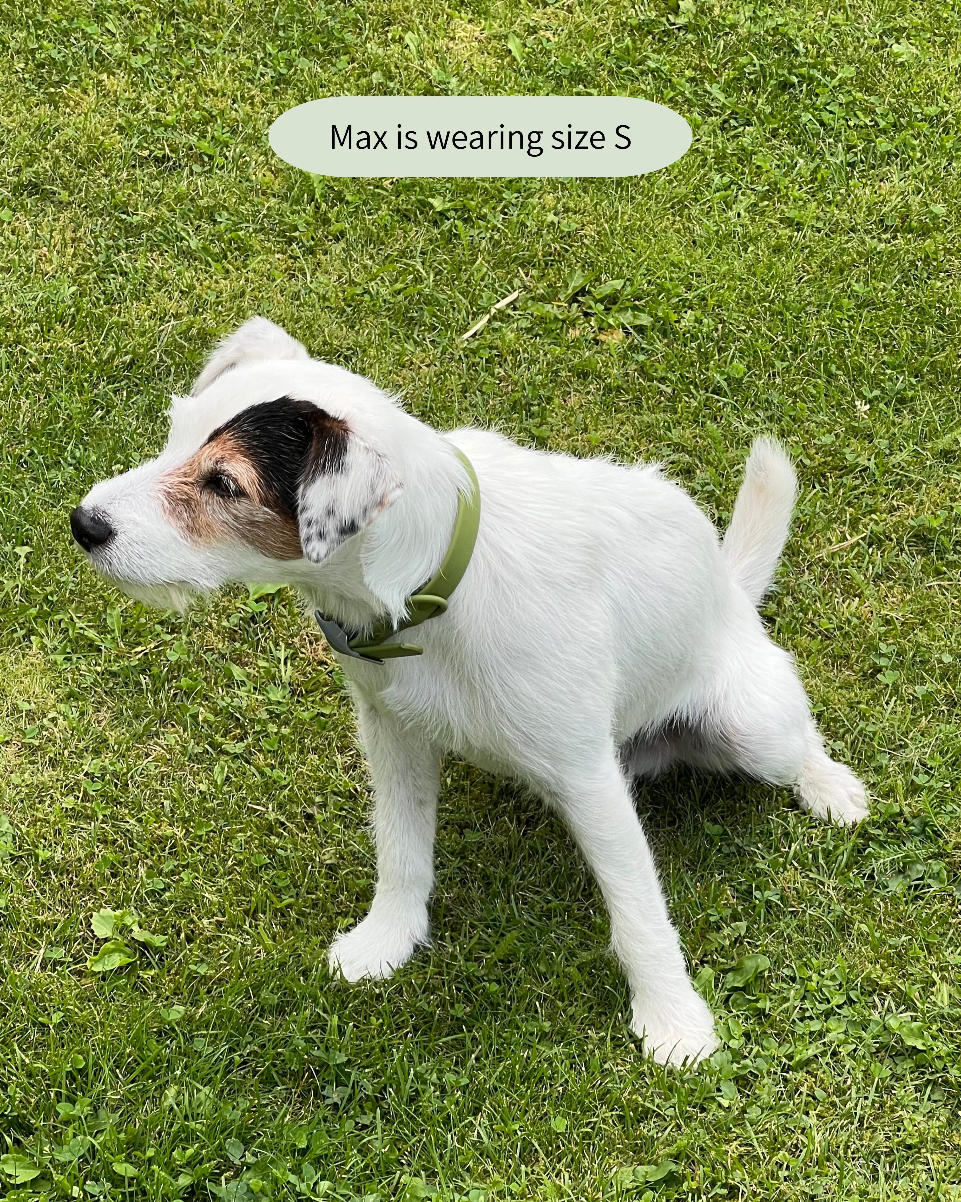 Boji Waterproof Collar