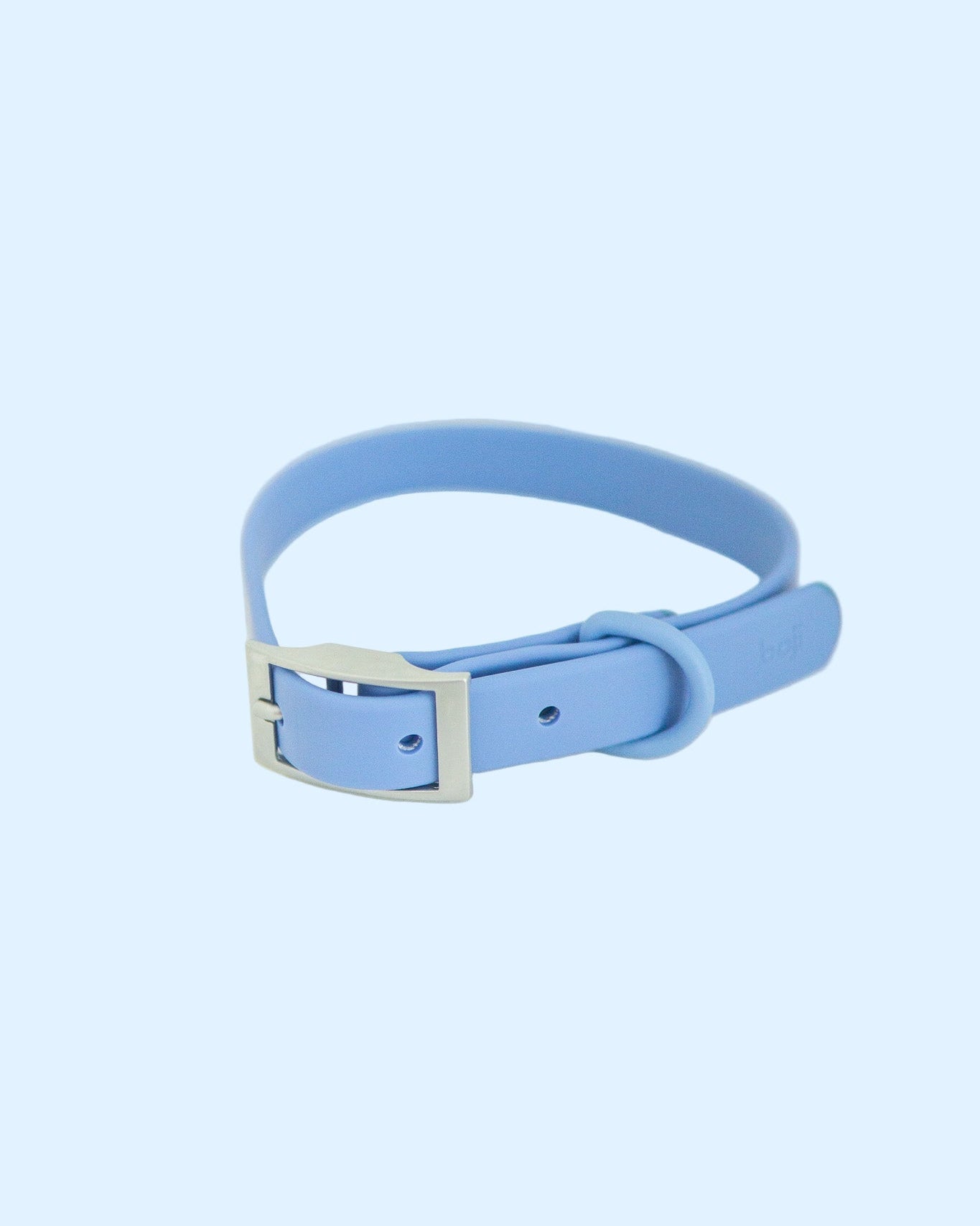 Light blue dog collar with a silver buckle on a white background