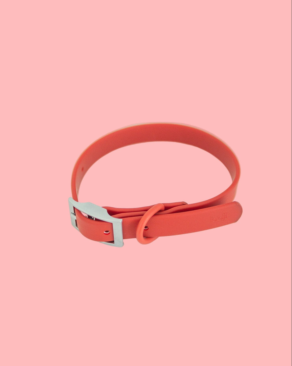 Red dog collar with a silver buckle on a white background