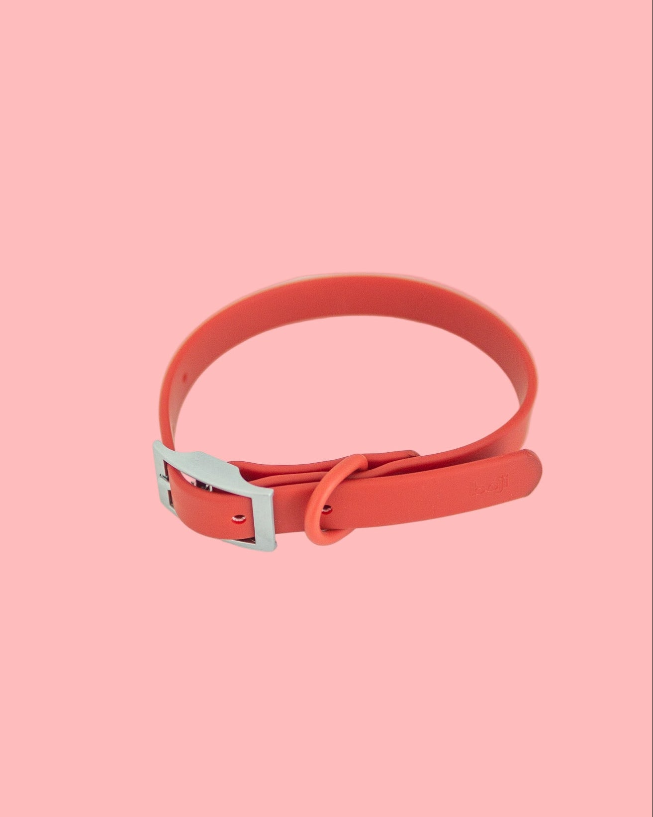 Red dog collar with a silver buckle on a white background