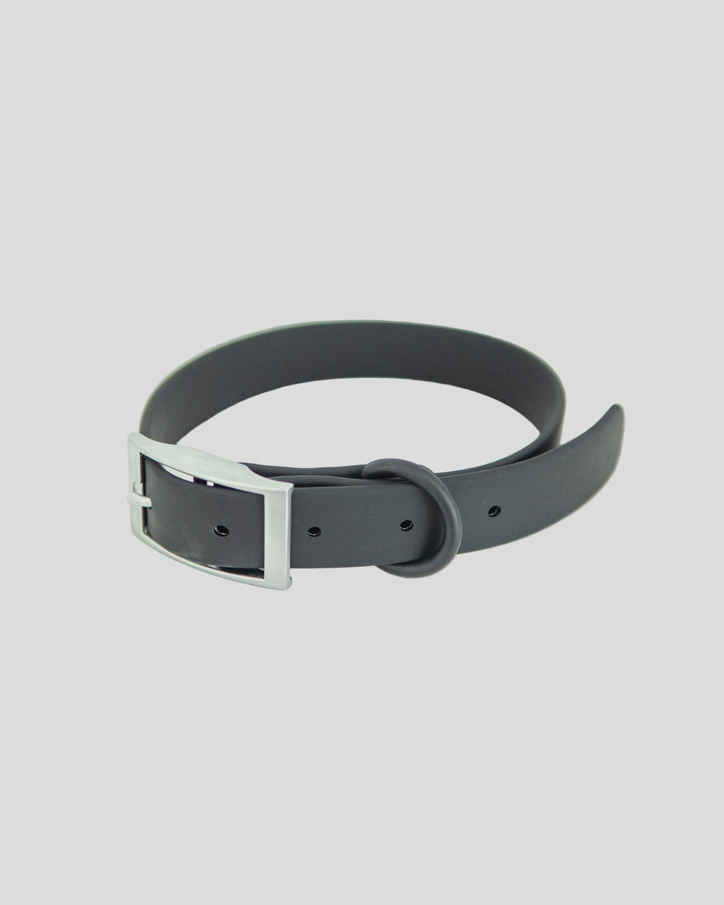 Gray dog collar with silver buckle on a white background