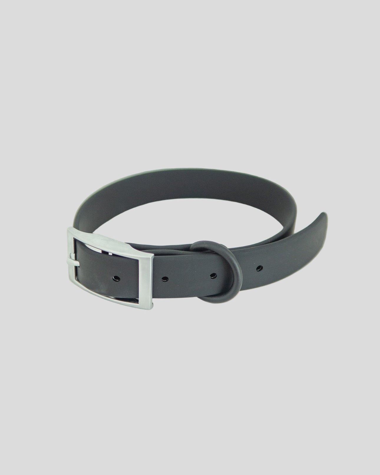 Gray dog collar with silver buckle on a white background