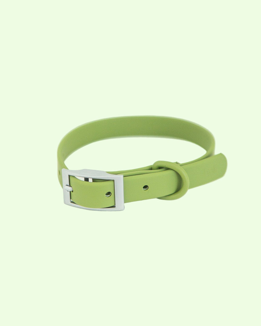 Green dog collar with a silver buckle on a white background