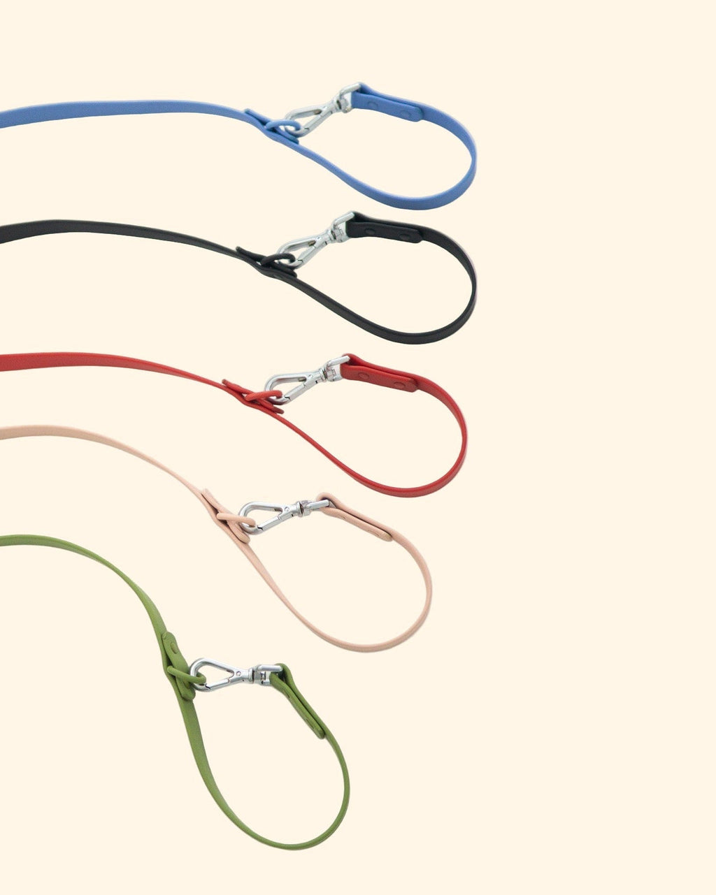 Set of five dog leashes in blue, black, red, pink, and green on a white background