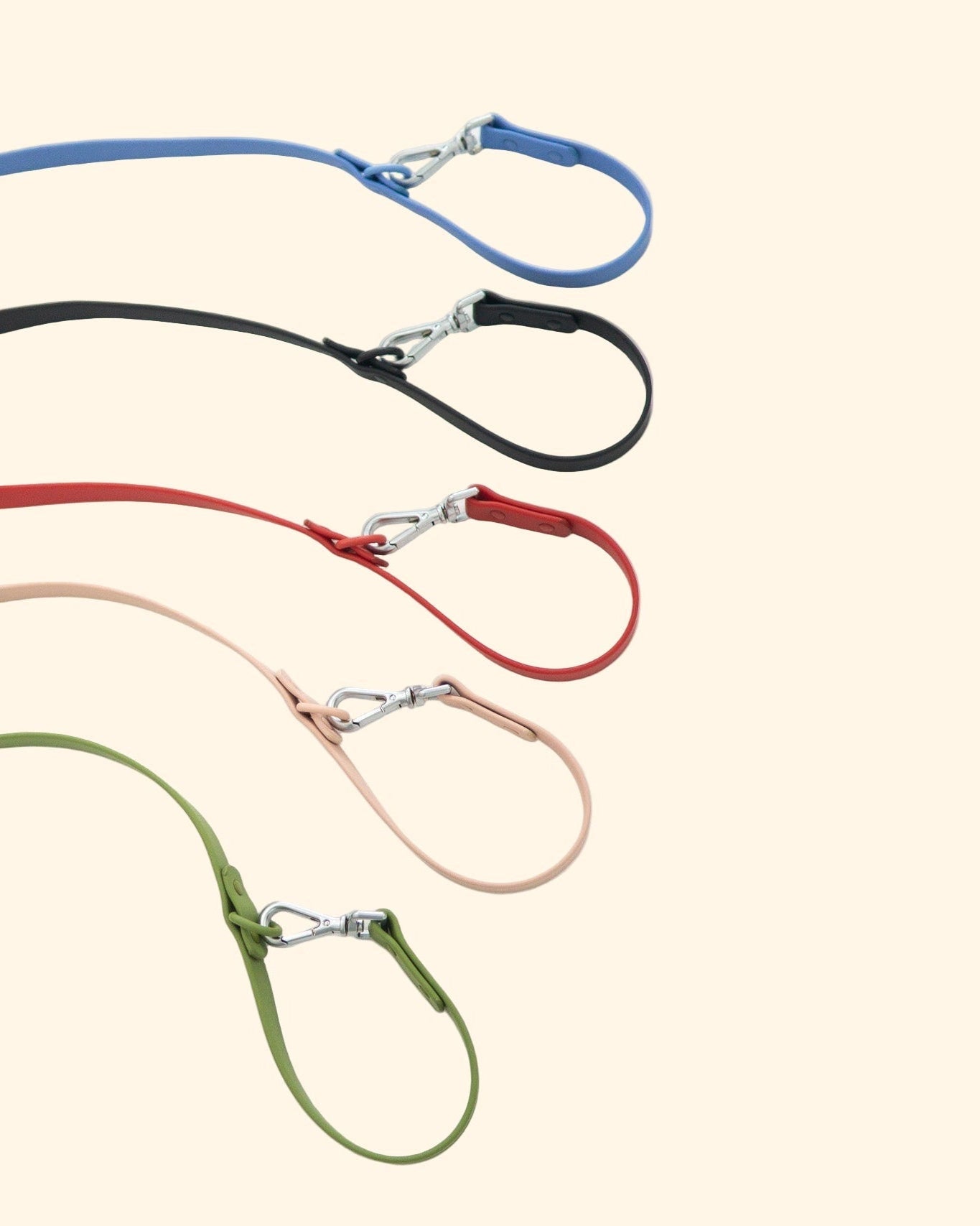 Set of five dog leashes in blue, black, red, pink, and green on a white background
