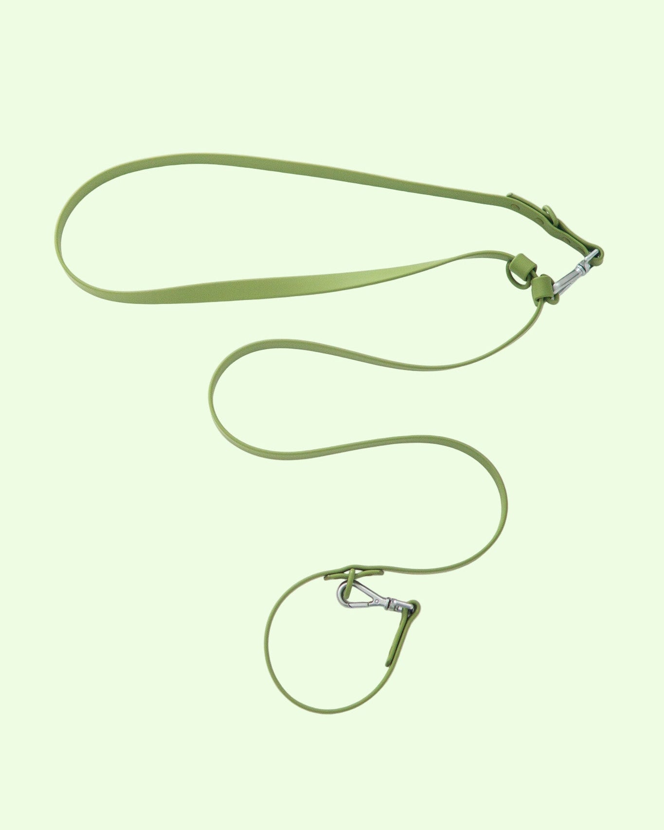 Green dog leash on a white background