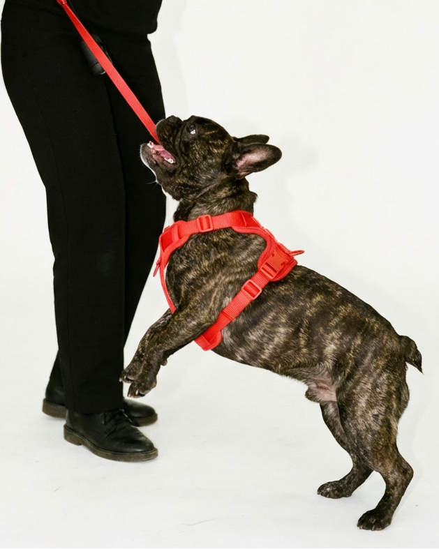 Boji Move Set in Ruby