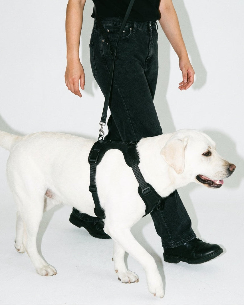 Boji Move Set in Onyx