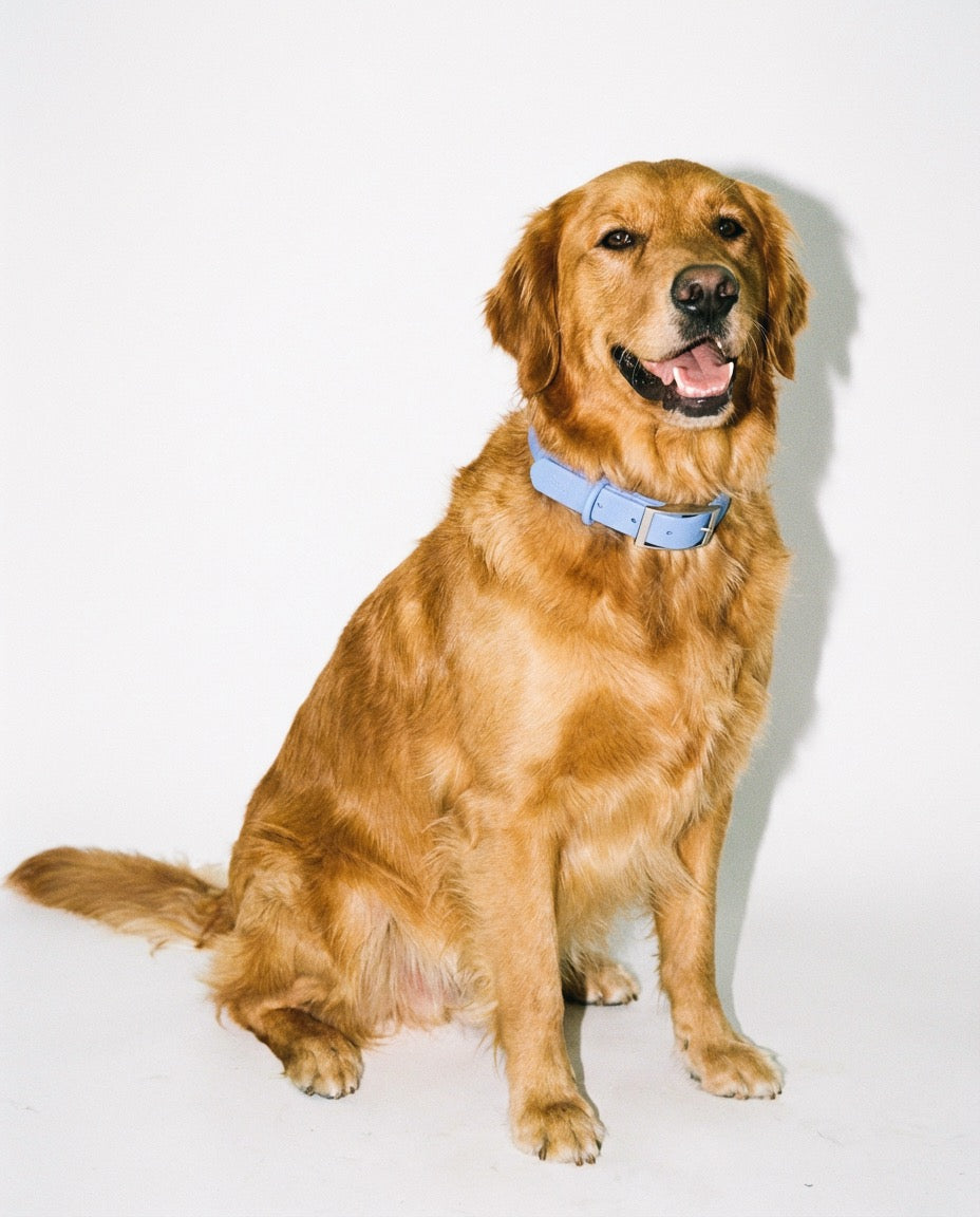 Boji Waterproof Collar