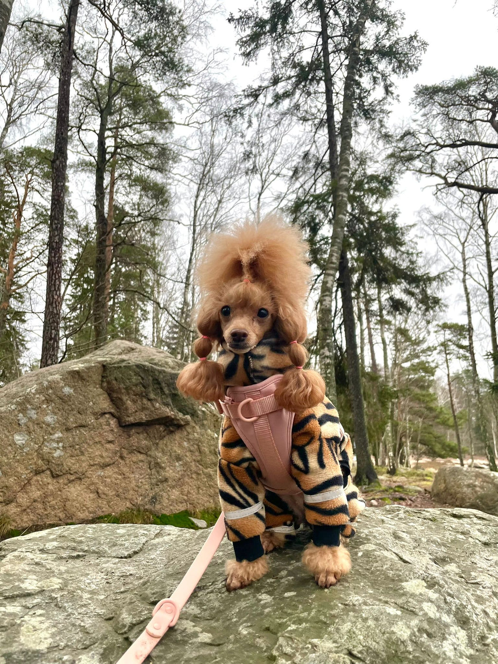 Boji Move Set in Bloom